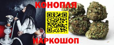гидра Абакан