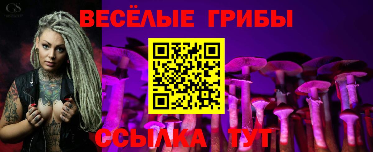 Галлюциногенные грибы Cubensis  Галлюциногенные грибы мицелий  Вход с VPN  где продают наркотики  Александров 